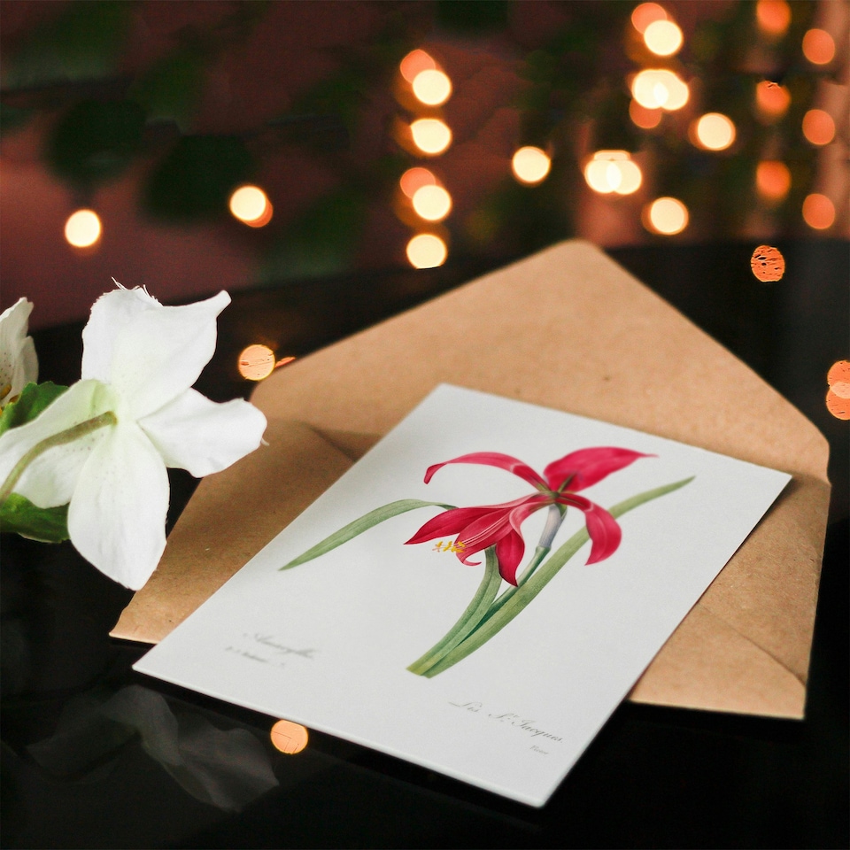 image 1 of Pierre-Joseph Redouté Art Card Amaryllis Flower Vintage Floral