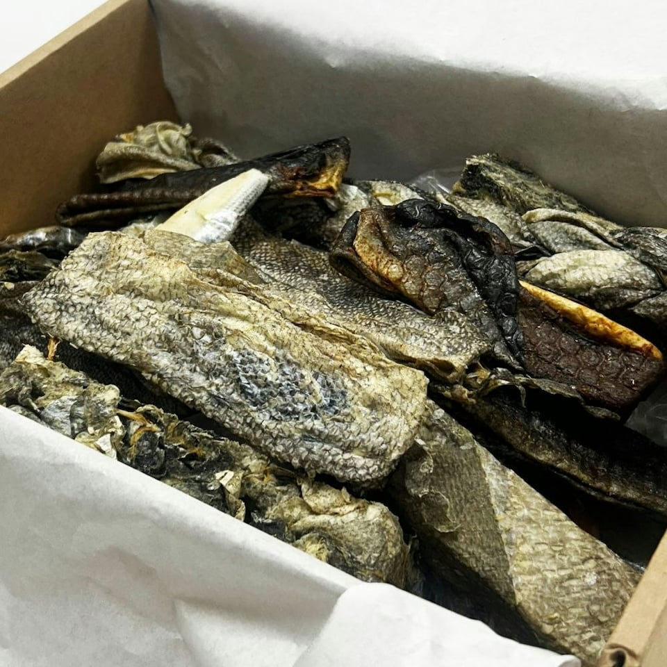 image 1 of HugglePets Assorted Natural Fish Dog Treat Box (40 pcs)