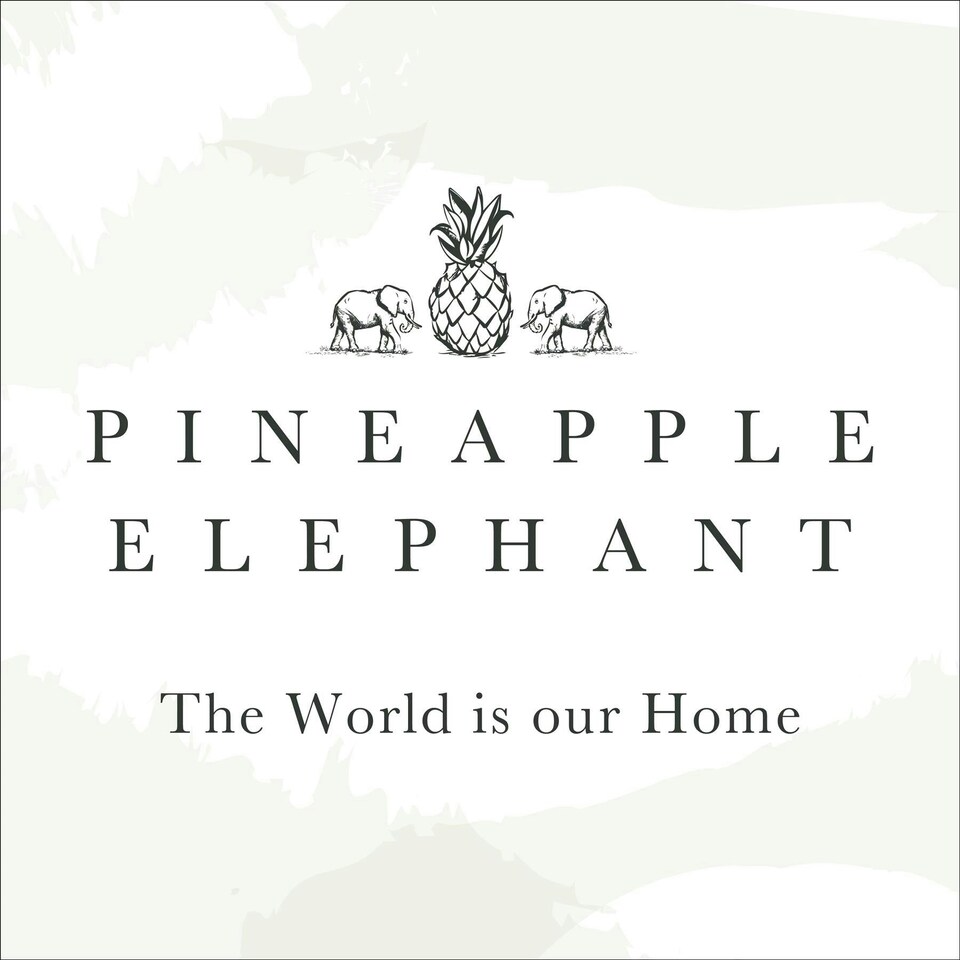 image 1 of Pineapple Elephant Izmir Stone Tab Top Voile Grey | 55x90"