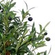 image 2 of 65cm Luxury Artificial Olive Tree Bush - Premium Range | Green | 2ft