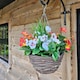 image 5 of Pair of 30cm 10 Inch Flame Red & White Pansy Flower with Rattan Wicker Hanging Baskets for Indoor Outdoor Garden Use | Red | Flame Red & White | 1