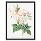 image 1 of Redoute Framed Wall Art Noisette Rose Vintage Floral Illustration Home Décor