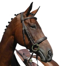 Collegiate Syntovia+ Padded Raised Cavesson Bridle - Brown - Warmblood