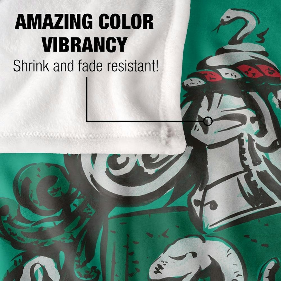 image 1 of Harry Potter Slytherin Painted Blanket - Multicoloured - One Size