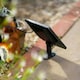 image 5 of Primrose Solar Squirrels Pouring Bowls Water Feature with Lights 39cm