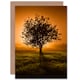 image 1 of Lone Tree Sunset Photo Greetings Card