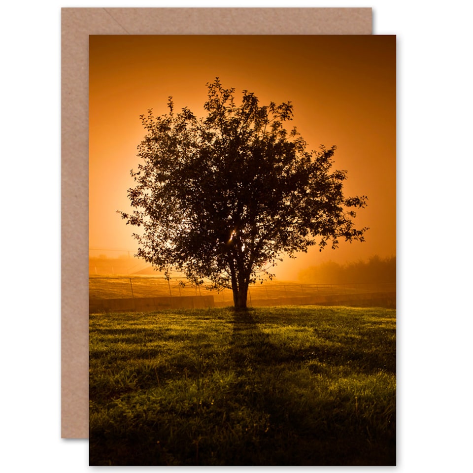 image 1 of Lone Tree Sunset Photo Greetings Card