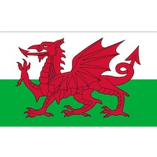 Wales Flag 5 x 3 ft
