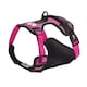 image 8 of Bunty Adventure Harness Red | S