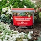 image 5 of Westland Fish, Blood & Bone All-Purpose Plant Food NPK 3-9-3 4kg