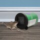 image 2 of Katcha Reusable Mouse Can Traps 4pk