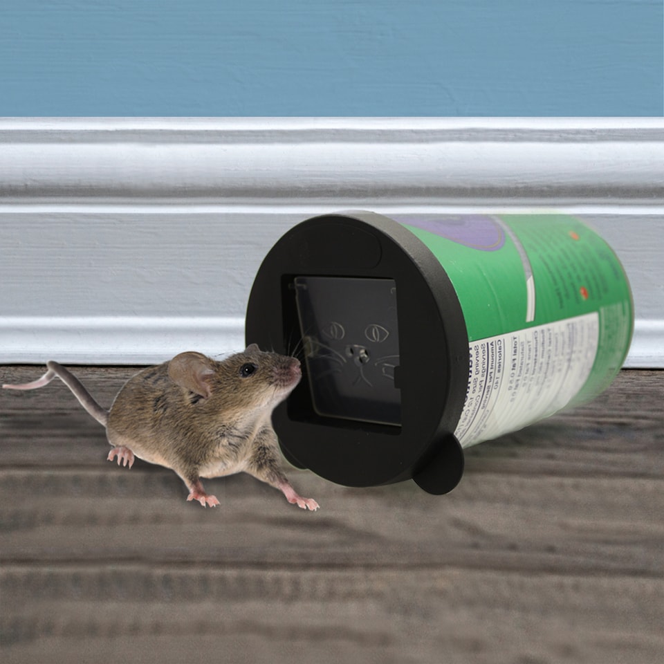 image 1 of Katcha Reusable Mouse Can Traps 4pk