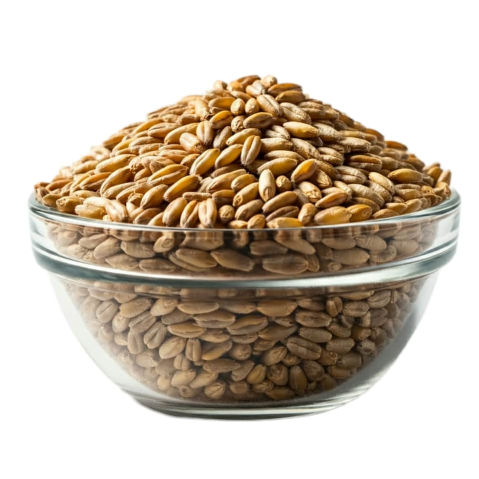 image 1 of Organic Spelt Grain 1kg (Sussex Wholefoods)
