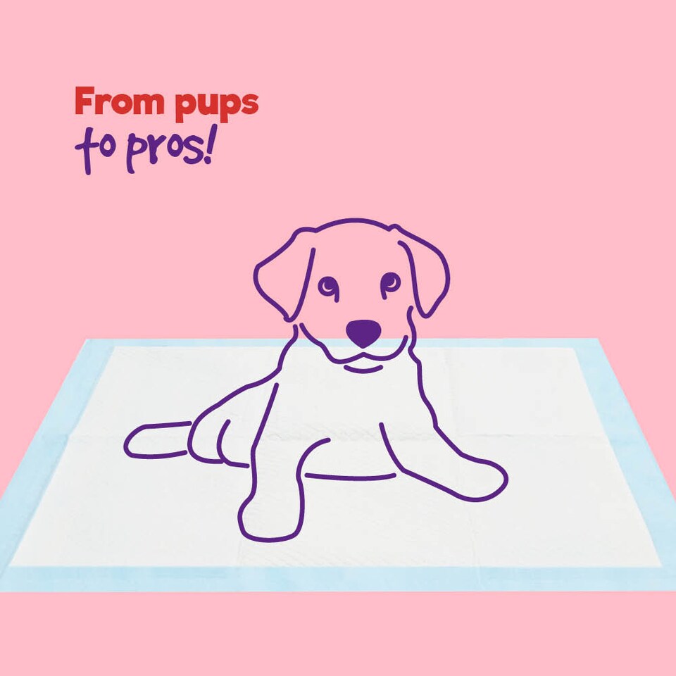 image 1 of Puppy Dog Kitten Toilet Training Pads Pack of 50 Medium