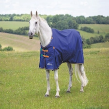 Shires Highlander Original 100 Turnout Rug Purple | Size: 6ft 6
Colour: Plum