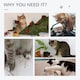 image 5 of PawHut Cat Tree Scratch Post with Bed Hammock Sisal for Indoor Cats Grey