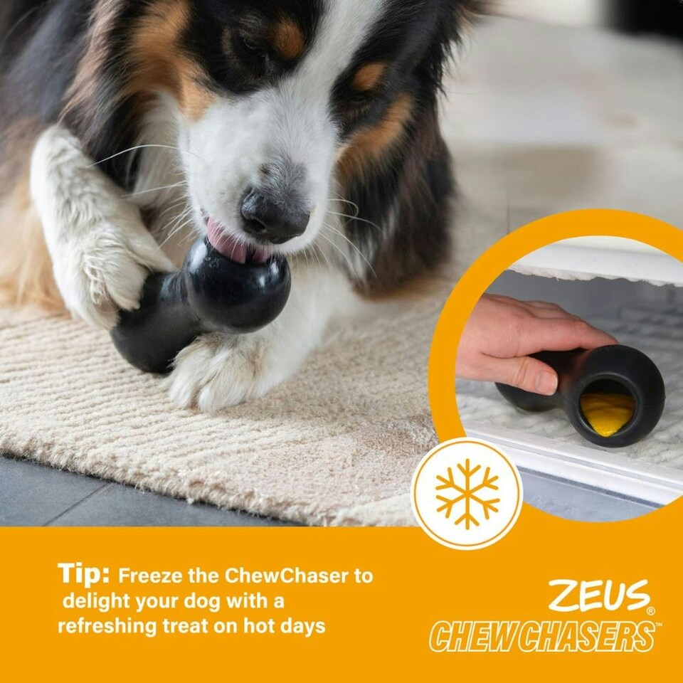 image 1 of Zeus ChewChasers Treat Peanut Dog Toy - Small