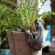 image 2 of Frog Plant Pot Hanger - L10.5 x W11 x H5 cm