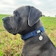 image 9 of HugglePets Tactical K9 Endurance Dog Collar Black | S