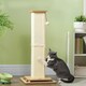 image 2 of PawHut 3-in-1 Cat Scratcher Post with Sisal Track Ball Toy, Light Oak