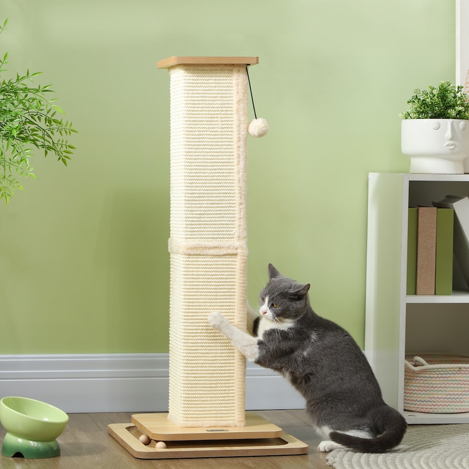 image 1 of PawHut 3-in-1 Cat Scratcher Post with Sisal Track Ball Toy, Light Oak