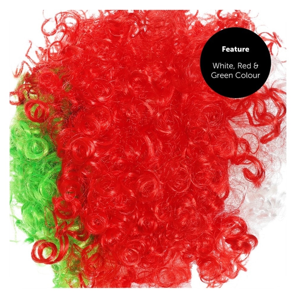 image 1 of Pack of 6 Welsh Supporters Curly Wig Multi | One Size