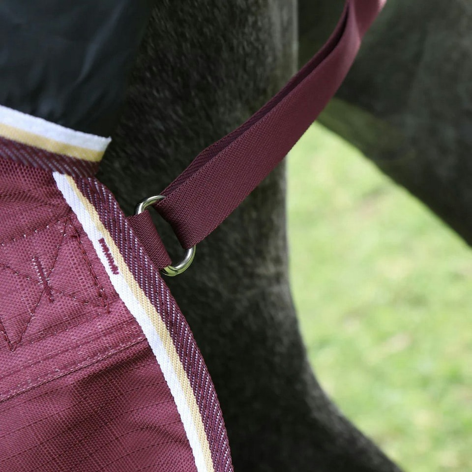 image 1 of Highlander Plus Combo Neck 100g Horse Turnout Rug - Maroon - 6´ 9"