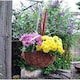 image 4 of Marco Paul Black Metal Hanging Basket 16" Black
