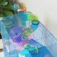 image 9 of Pawhut 5 Tier Hamster Cage, Gerbil Cage with Tube Exercise Wheels, Tunnel, Water Bottle, Dishes, Blue, 58H x 46L x 30Wcm