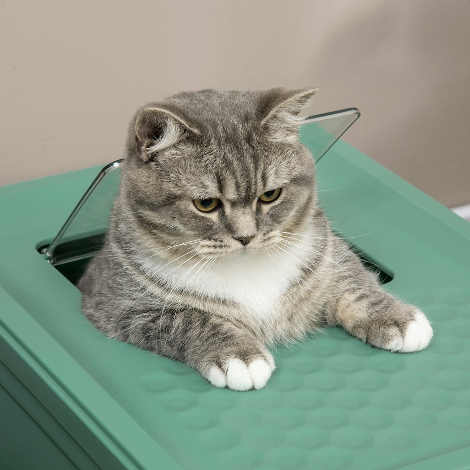 image 1 of PawHut Hooded Cat Litter Box, Pet Toilet w/ Scoop, Tray - Green
