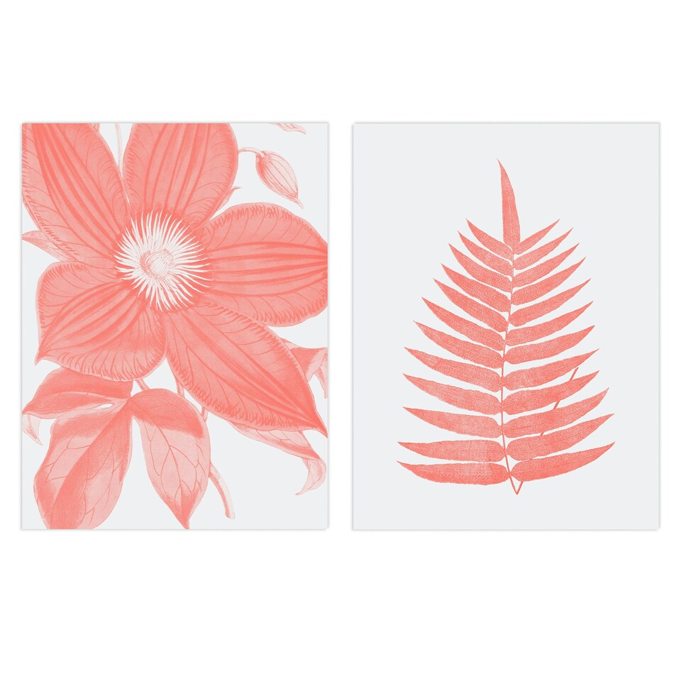 image 1 of Set of 2 Flower Fern Frond Coral Pink Plant Botanical Living Room Wall Art Print A4