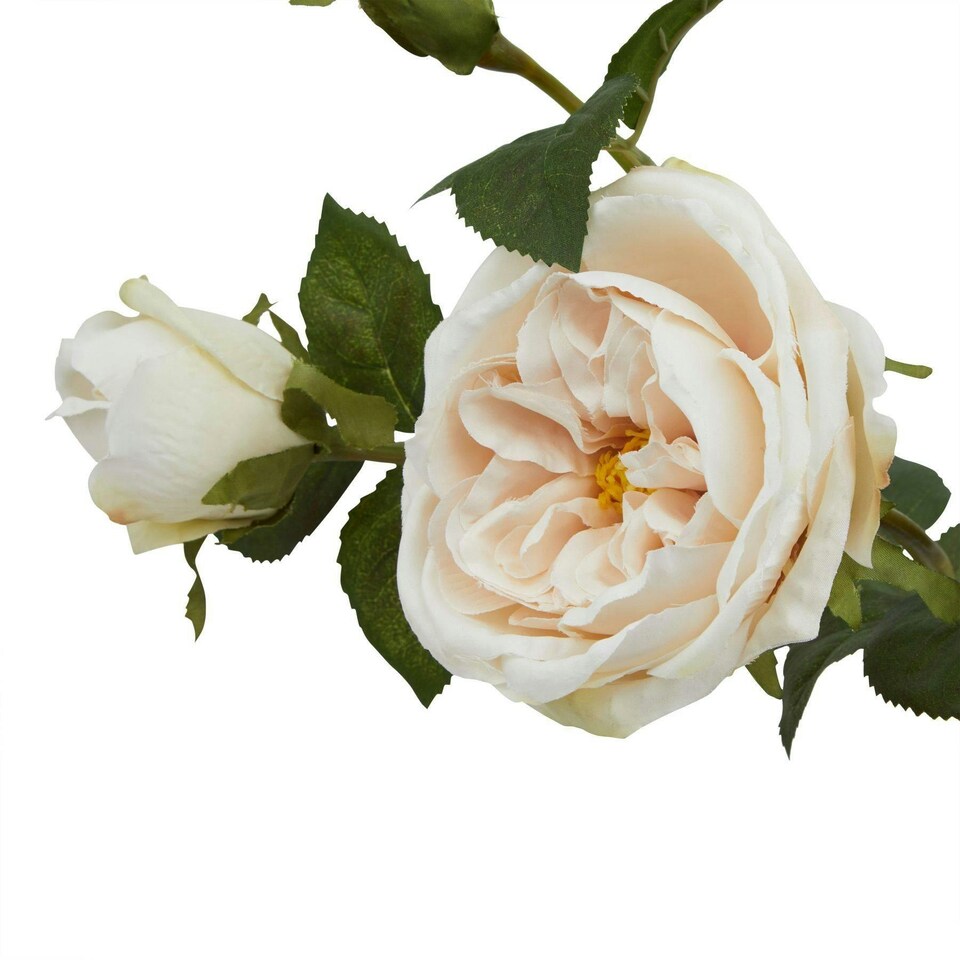 image 1 of Hill Interiors The Natural Garden Collection Charity Rose Artificial Flower - Pale Blush - One Size