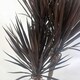 image 2 of Artificial Yukka Tree Plant Spiky UV Resistant Outdoor Tree Triple Dark Red and Brown Botanik Brown | One Size