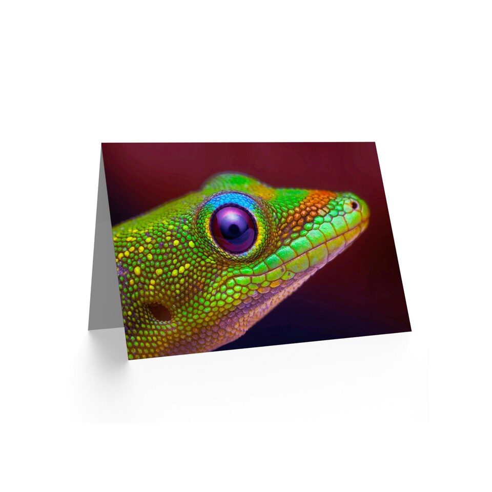 image 1 of Gold Dust Day Gecko Colourful Head Animal Photograph Greeting Card