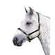 image 1 of Blenheim Ragley Leather Horse Headcollar - Black - Full