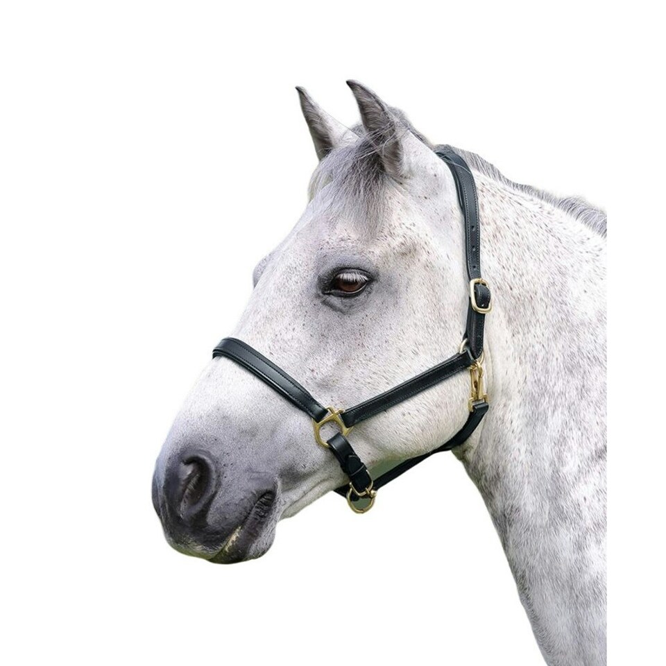 image 1 of Blenheim Ragley Leather Horse Headcollar - Black - Full