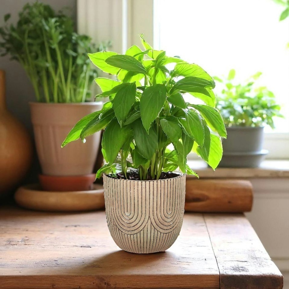 image 1 of Cement Art Deco Style Plant Pot - (H14 x W15cm) Multi