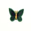 Green/Navy