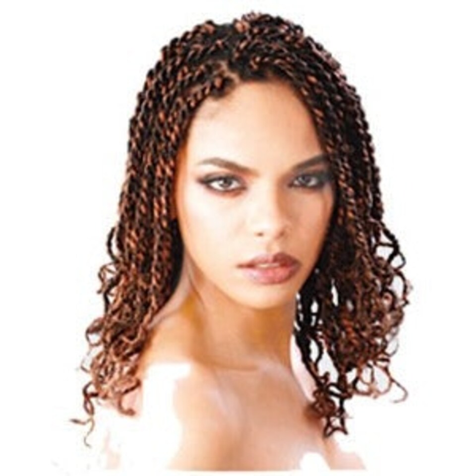 Janet Collection Janet HH Afro Kinky Bulk Multi | Zebra FR1B/99J | One Size