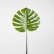 image 2 of Interiors by Premier Monstera Palm Stem – 109cm Green, Large Faux Leaf With Lifelike Texture And Bold Tropical Look, Adds Height
