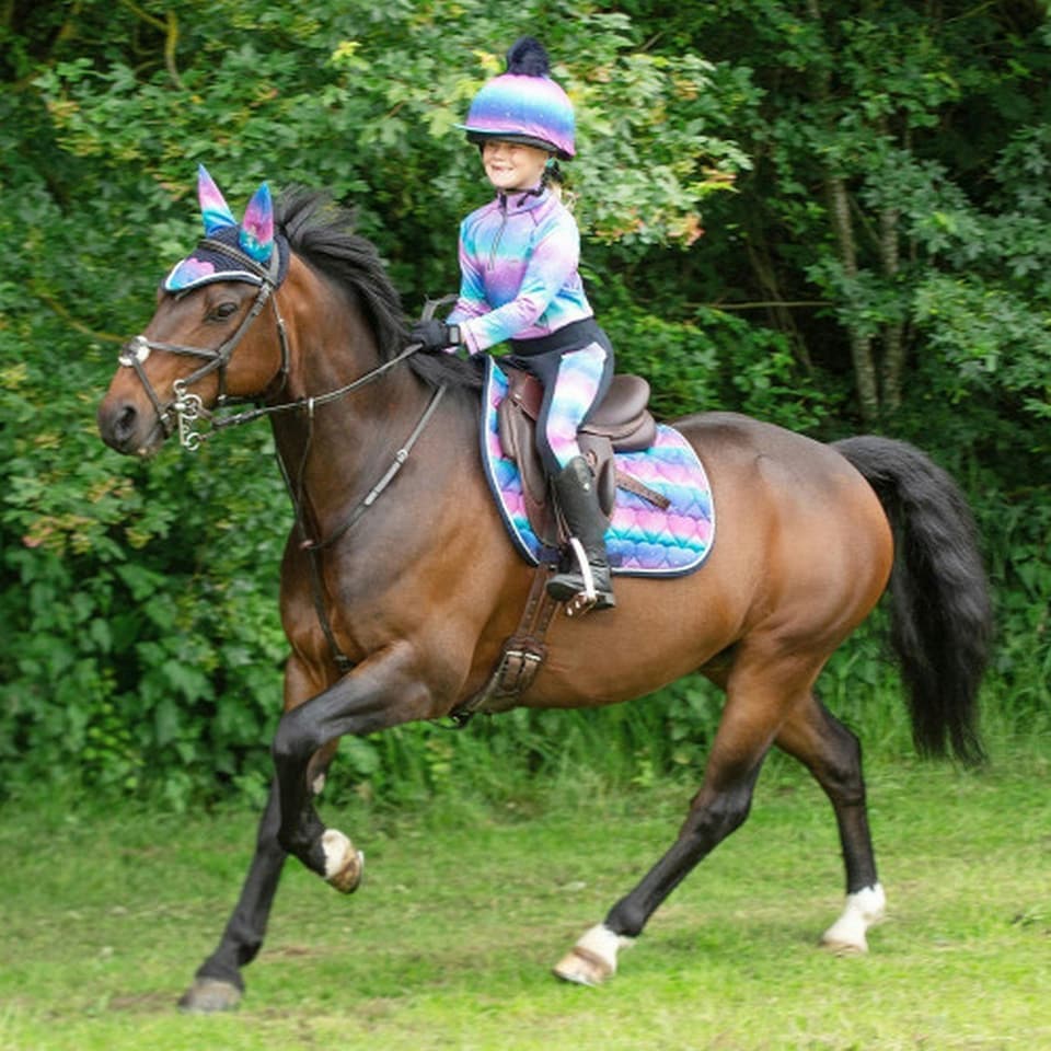 image 1 of Little Rider Dazzling Night Prismatic Horse Fly Veil - Navy - Small Pony