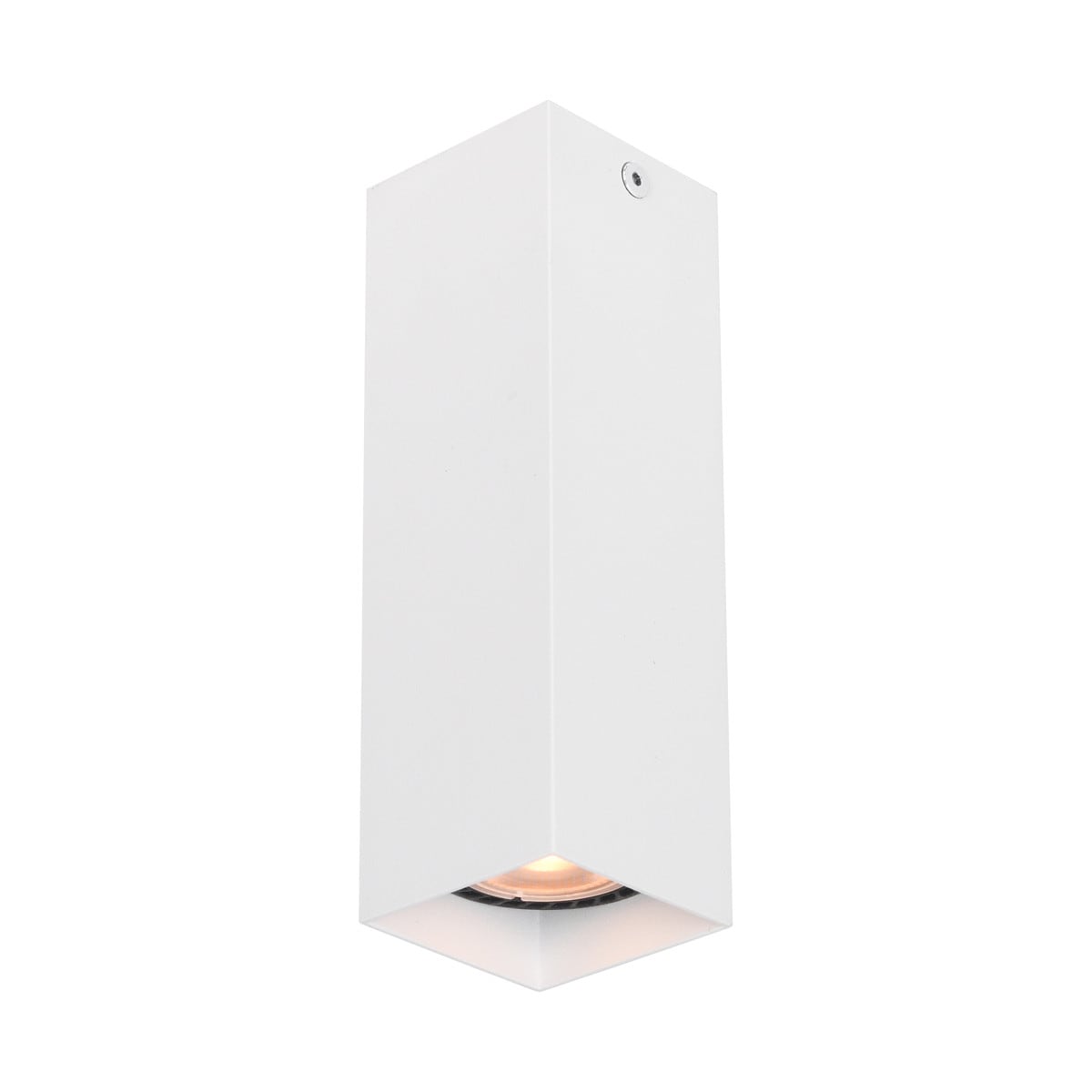 Netlighting Ander 17cm Surface Mounted Downlight White