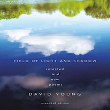 Field Of Light And Shadow