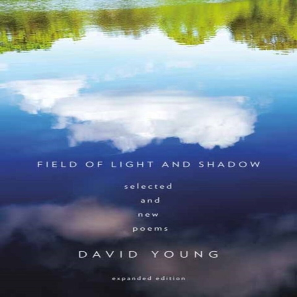 Field Of Light And Shadow