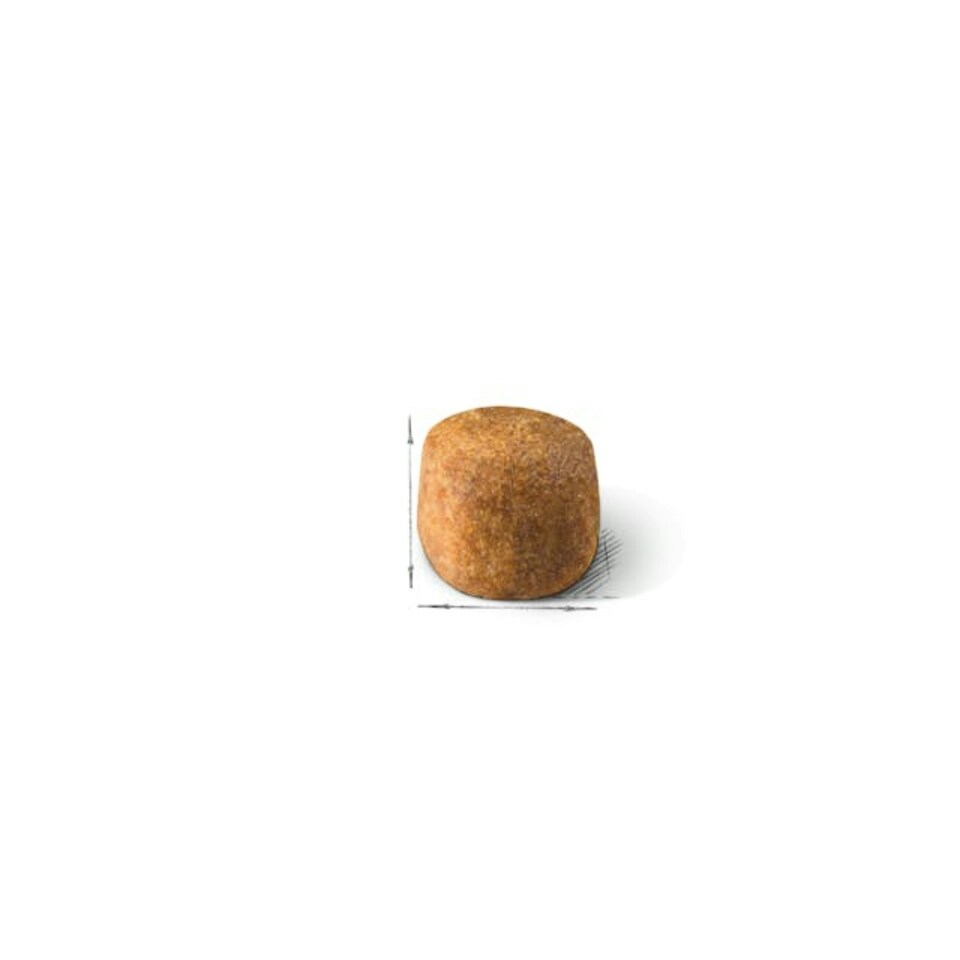 image 1 of Royal Canin Cat Maine Coon Adult - 10KG