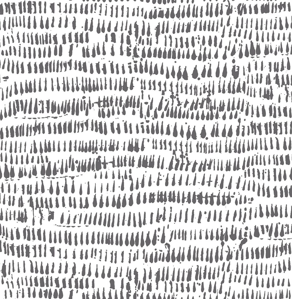 image 1 of NuWallpaper NU2678 Kylver Peel & Stick Wallpaper, White & Black | Grey | Grey | 2.86m² | 1