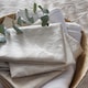 image 4 of Appletree Elysia Duvet Cover Set Champagne