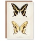 image 1 of Sherman Denton Art Card Giant Swallowtail Butterfly