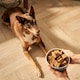 image 5 of Senior Turkey & Butternut Squash Wet Dog Food (18x395g)
