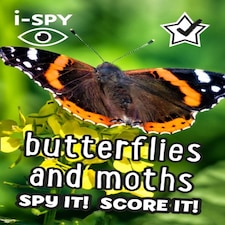 I-spy Butterflies And Moths